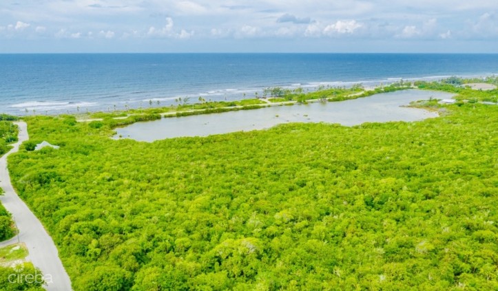 ALEXANDER GROVE SUBDIVISION - CAYMAN BRAC - POND LOT 1