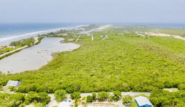 ALEXANDER GROVE SUBDIVISION - CAYMAN BRAC - POND LOT 1